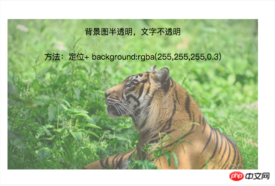 用CSS实现背景图片透明而文字不透明的两种方法
