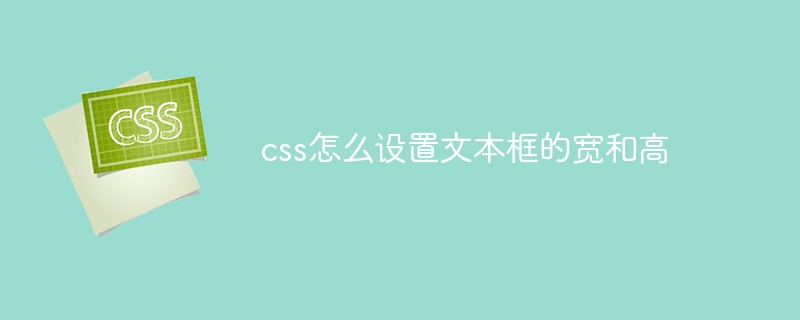 css怎么设置文本框的宽和高