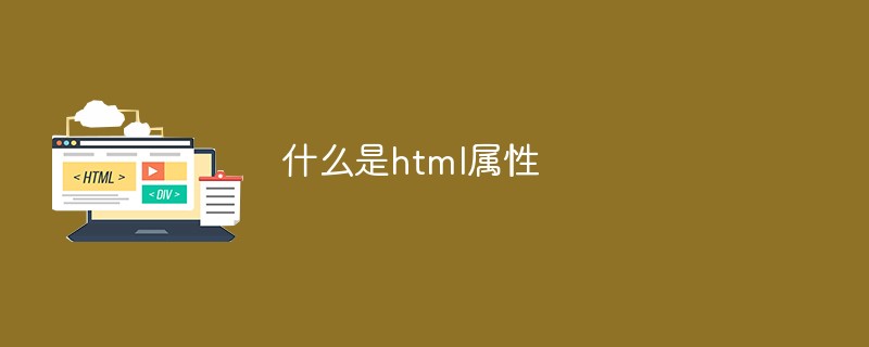 什么是html属性