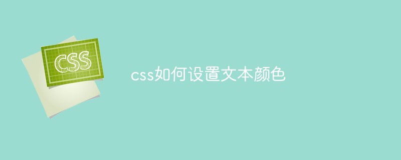 css如何设置文本颜色