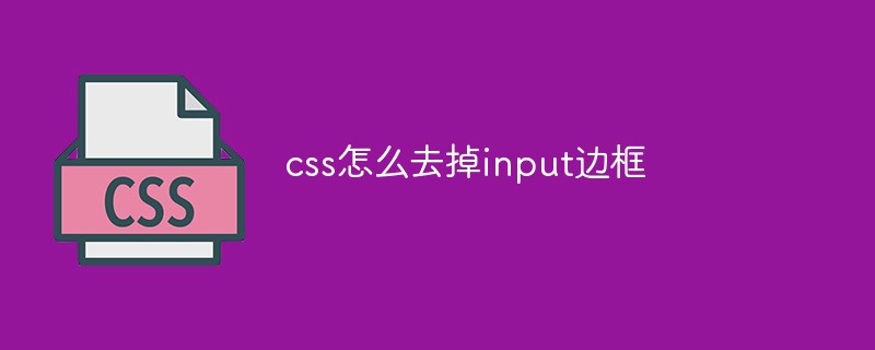 css怎么去掉input边框