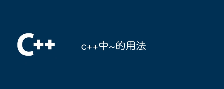 c++中~的用法