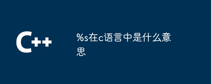 %s在c语言中是什么意思