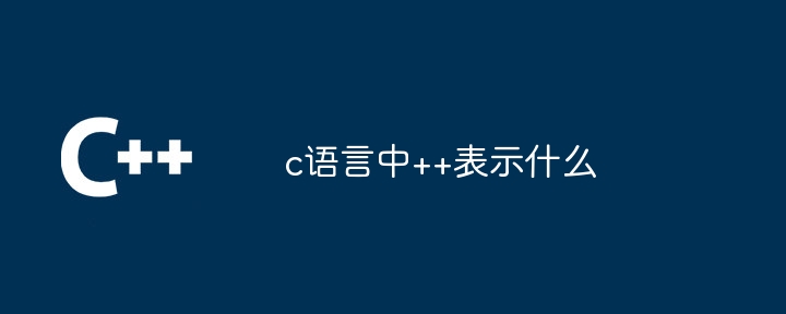c语言中++表示什么