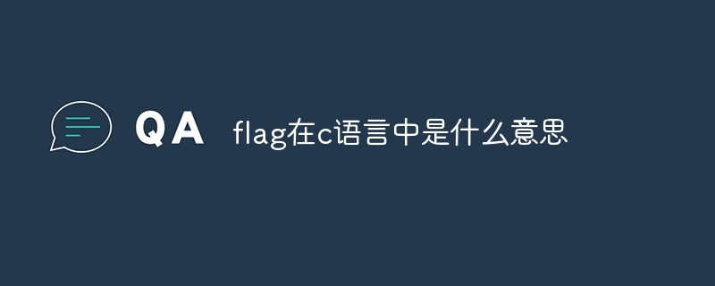 flag在c语言中是什么意思