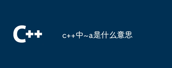 c++中~a是什么意思