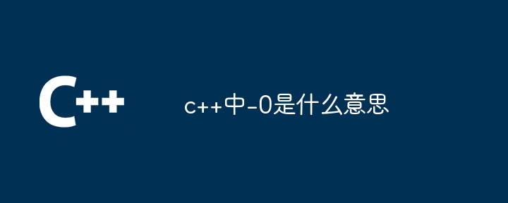 c++中-0是什么意思