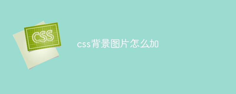 css背景图片怎么加