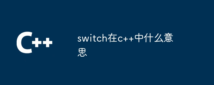 switch在c++中什么意思