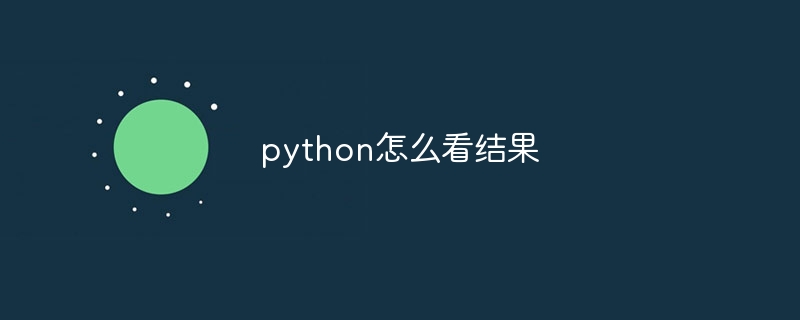 python怎么看结果