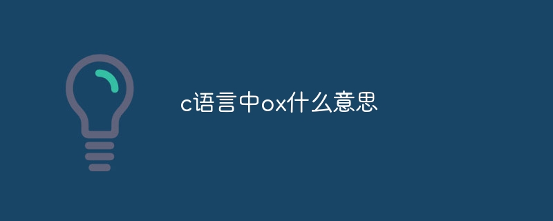 c语言中ox什么意思