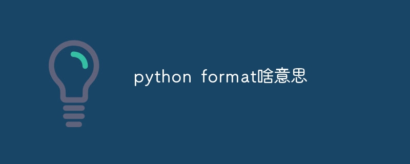 python format啥意思