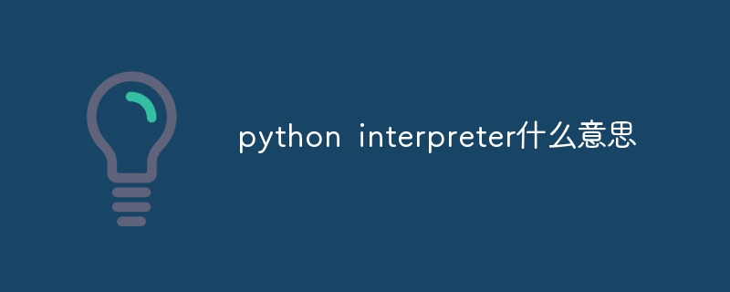 python interpreter什么意思