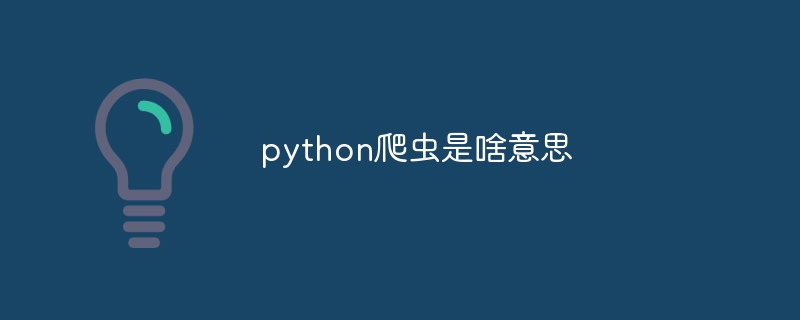 python爬虫是啥意思