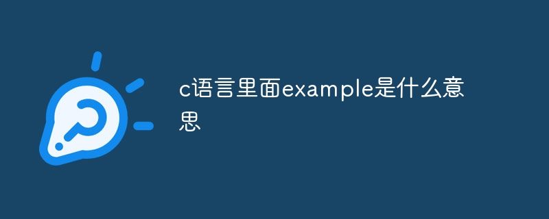 c语言里面example是什么意思