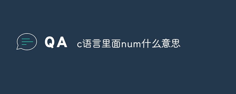 c语言里面num什么意思