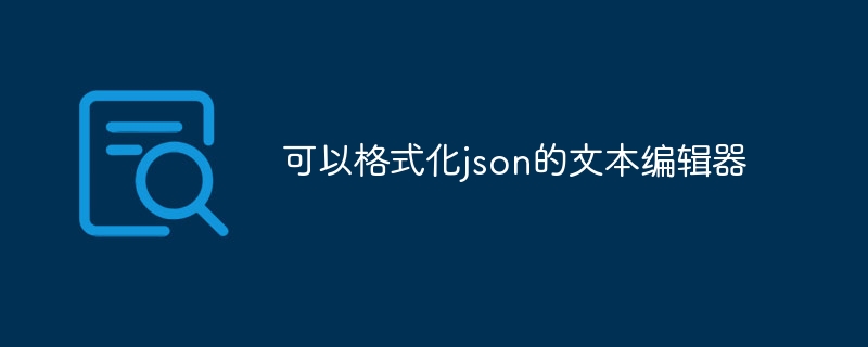 可以格式化json的文本编辑器