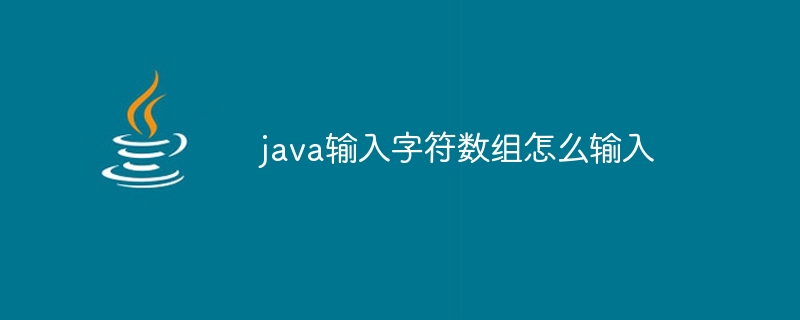 java输入字符数组怎么输入