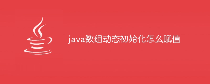 java数组动态初始化怎么赋值