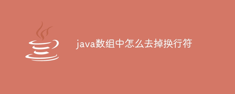 java数组中怎么去掉换行符
