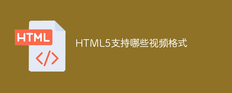 HTML5支持哪些视频格式