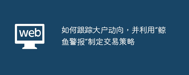 如何跟踪大户动向，并利用“鲸鱼警报”制定交易策略