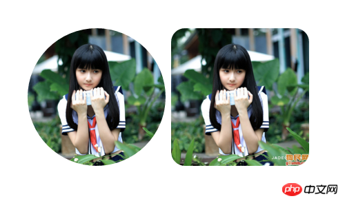 html与CSS如何实现圆形和圆角图片格式的示例代码