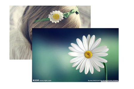 CSS中z-index属性怎么使用