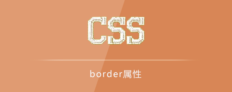 border属性怎么用