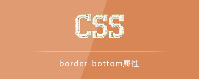css border-bottom属性怎么用？