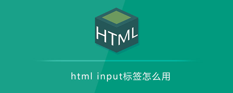 html标签怎么用