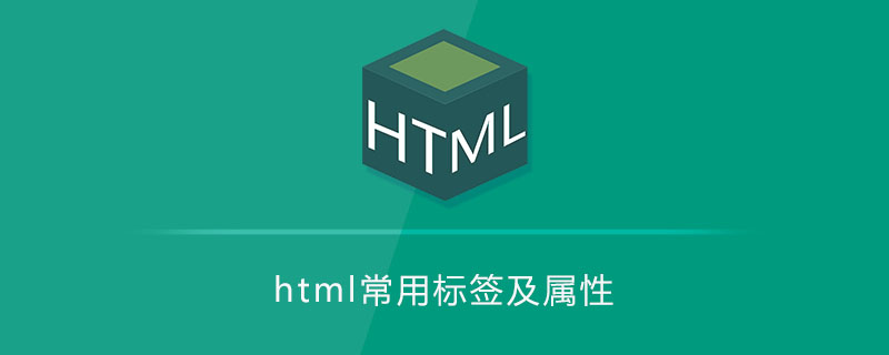 html常用标签及属性