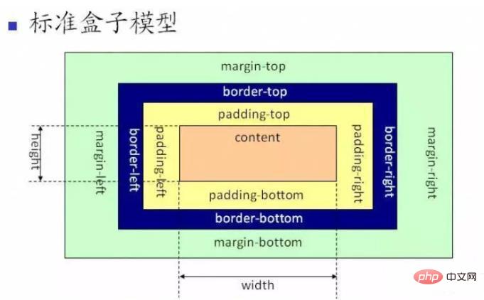 css标准模型包含外边距吗