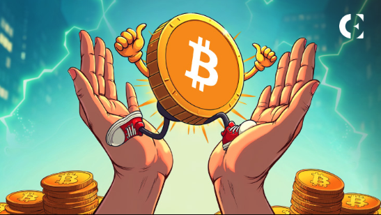 炒币软件排行榜2025 新手炒币最好用的软件前十名汇总 - 创想鸟