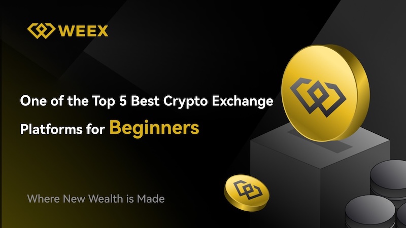 weex交易所官网  weex交易所官网注册指南 - 创想鸟