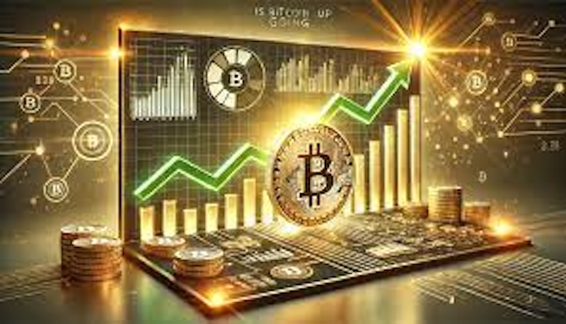 数字货币投资全流程拆解 从注册交易所到提现，保姆级教程 - 创想鸟