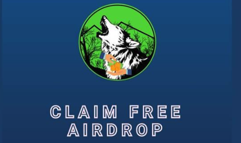 wspp币如何购买？wspp币是否值得长期投资？ - 创想鸟