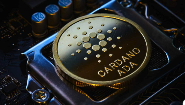 卡尔达诺是什么智能合约链？创始人背景？主流地位如何？ - 创想鸟