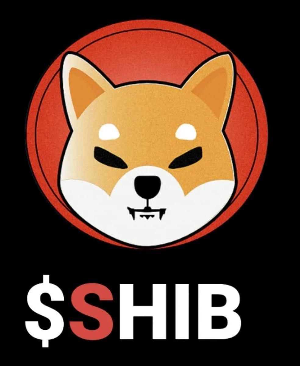 如何评估山寨币的技术实力？ - 创想鸟