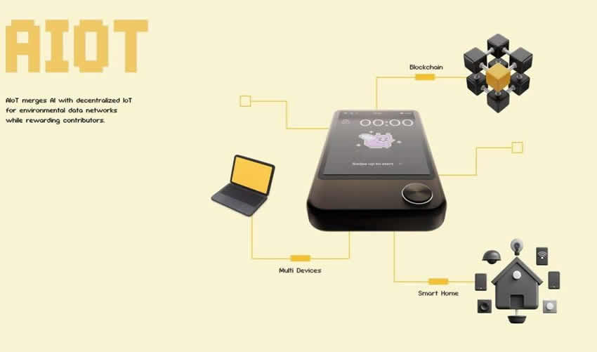 OKZOO是什么？OKZOO未来潜力解析及价格走势预测