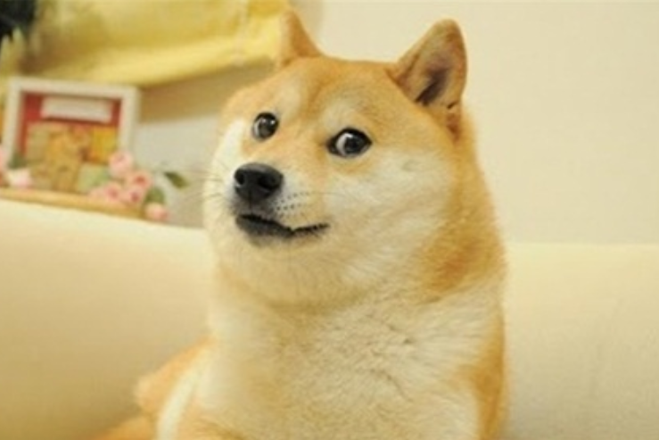 9月狗狗币doge价格会飙升30%吗？ - 创想鸟