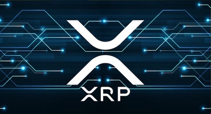 瑞波币(XRP)vs以太坊(ETH)：哪种代币在巨鲸推动的行情中表现更佳？