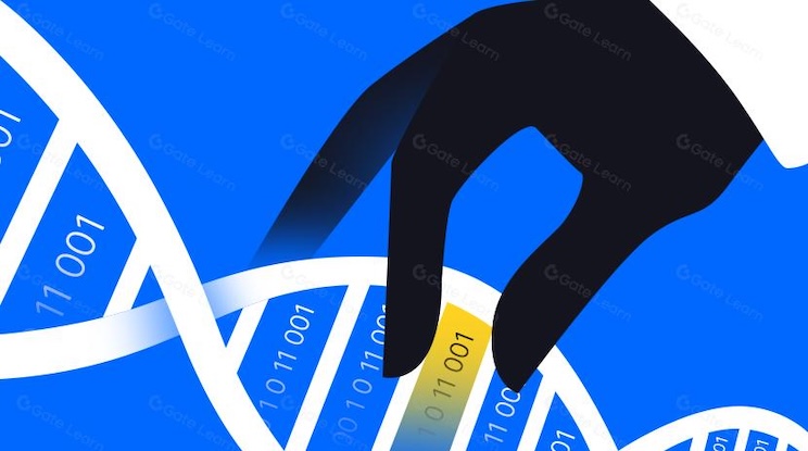 什么是token？如何交易？和coin有什么区别？ - 创想鸟