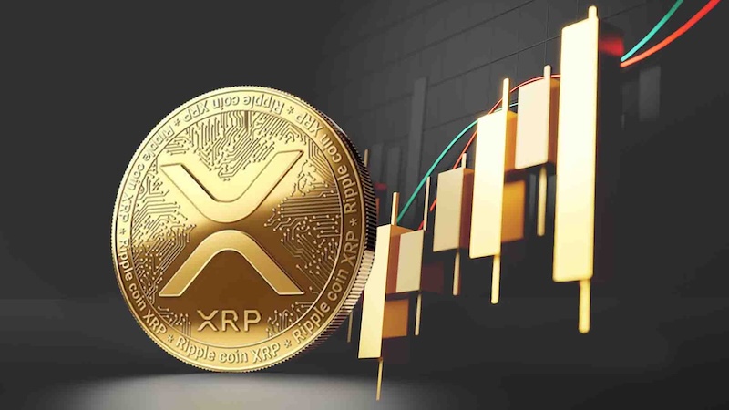 XRP价格下跌背后原因揭秘：为何市场恐慌加剧？