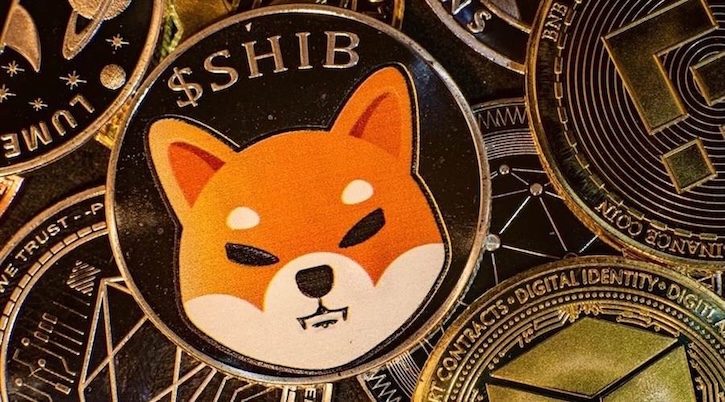 什么是SHIB（柴犬币）？如何购买、价格预测及社区分析 | 在币安（Binance）购买柴犬币全攻略
