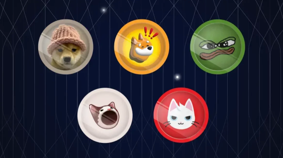 币圈土狗项目如何识别？避免归零币的陷阱与风险预警 - 创想鸟