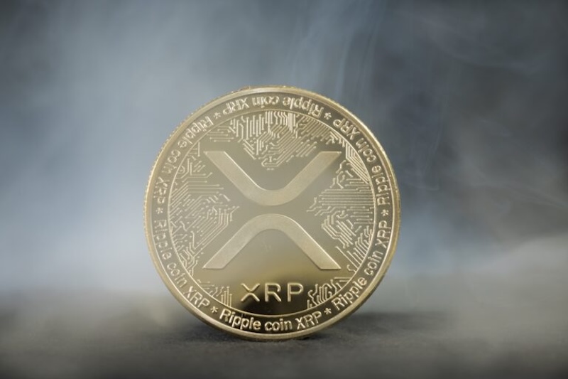 xrp巨鲸在etf首秀后抛售近2亿枚代币 - 创想鸟