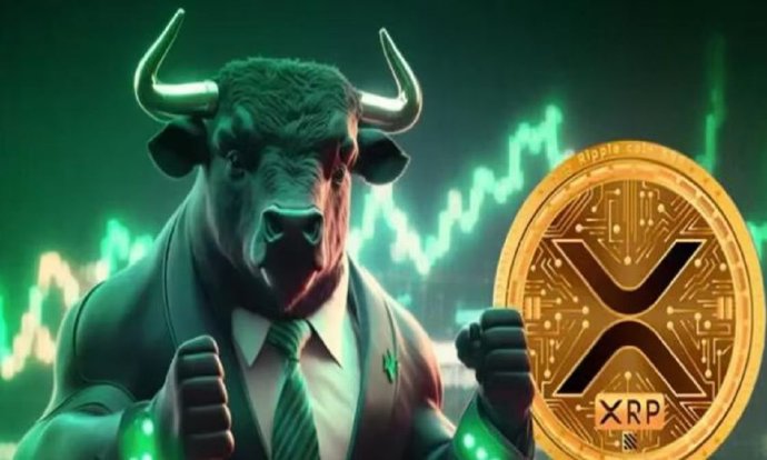 什么是阿尔法(Alpha)？新用户如何参与or能参与吗？小白入门篇