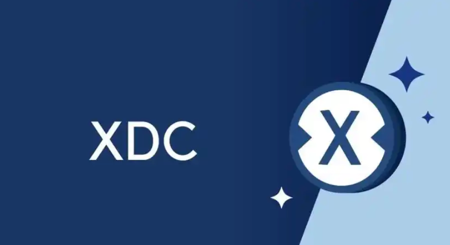  5个最佳的xdc存储工具：优缺点以及如何使用介绍 - 创想鸟