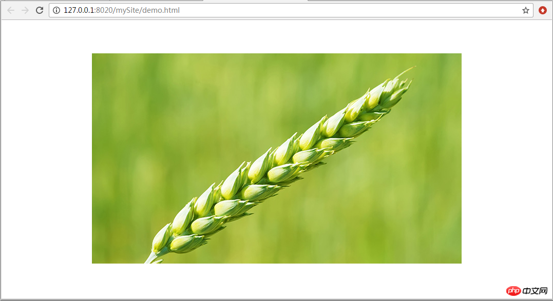 css3中关于transform属性实现div不定宽高垂直水平居中的详细介绍